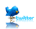 twitter bird